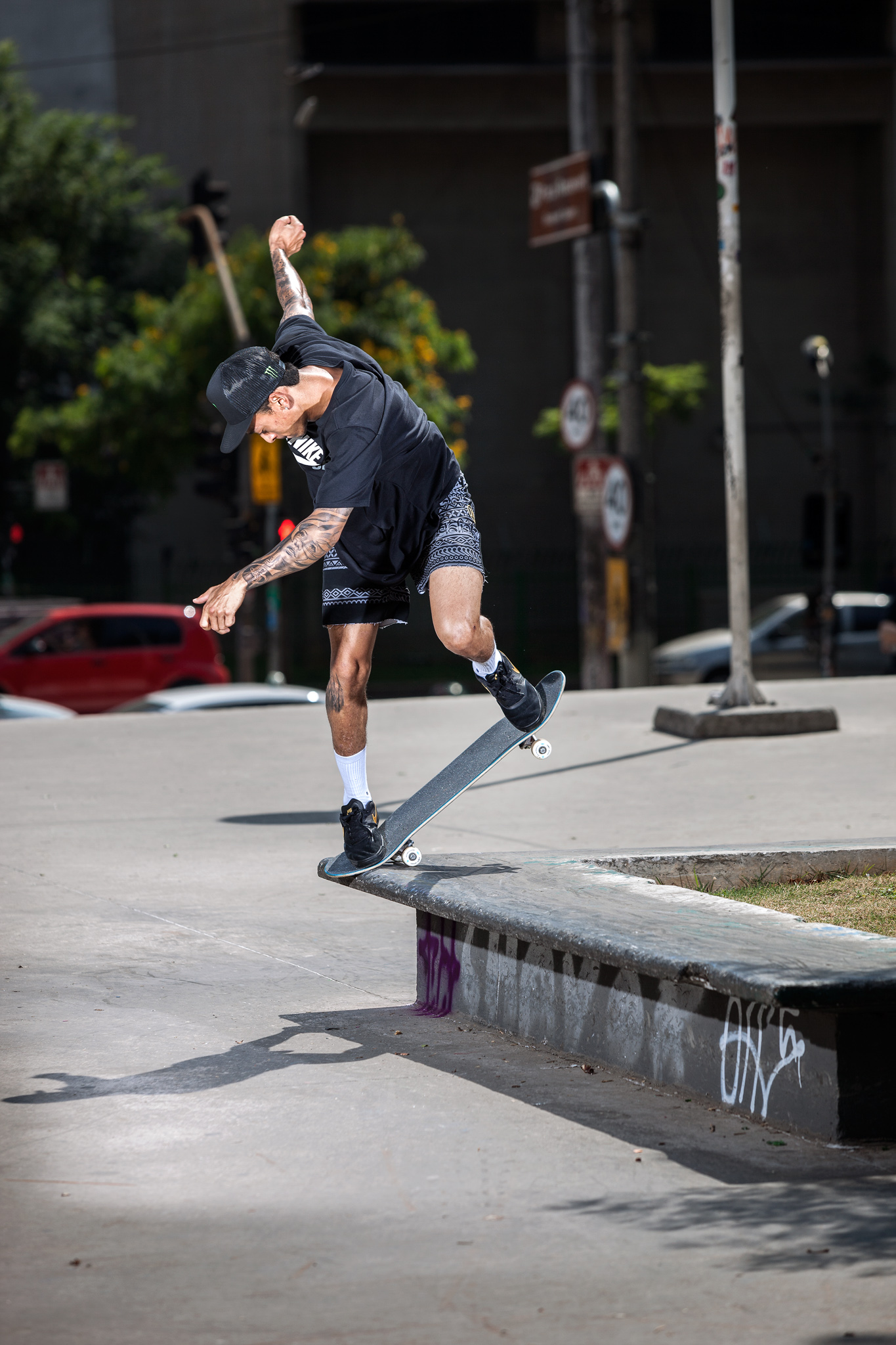 nyjah shorts